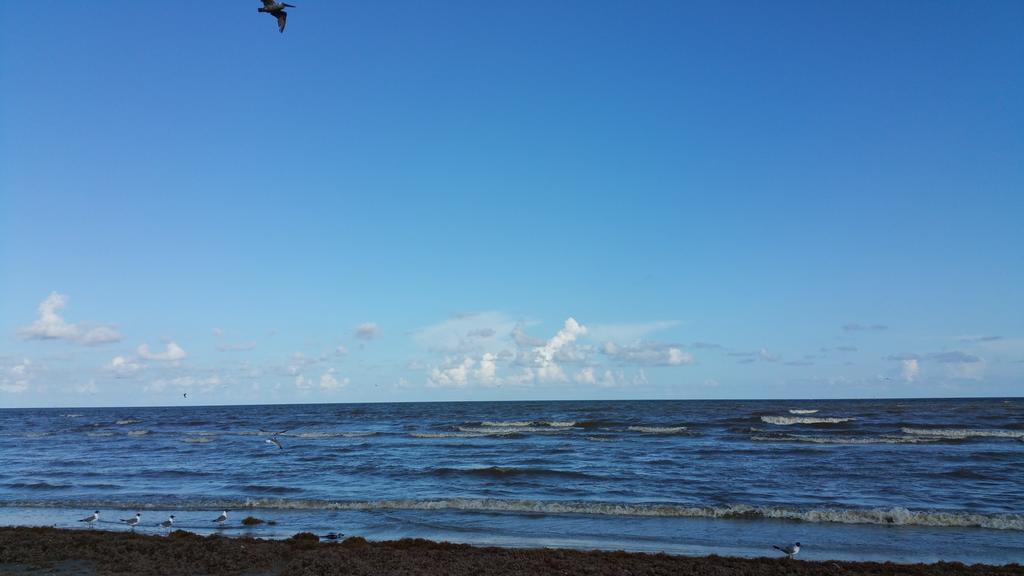 Private Beach -- Away From The Crowds - Ocean Views -Short Drive To Moody Gardens, Schlitter Bahn, Pleasure Pier Galveston Zewnętrze zdjęcie
