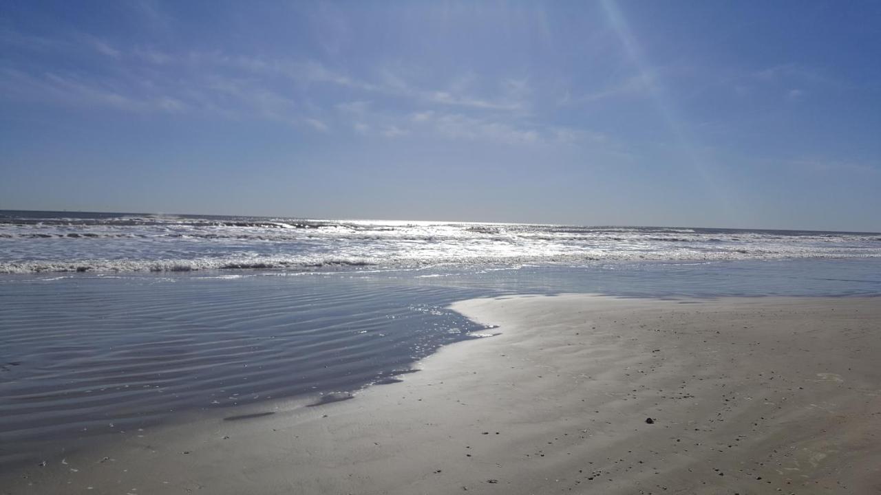 Private Beach -- Away From The Crowds - Ocean Views -Short Drive To Moody Gardens, Schlitter Bahn, Pleasure Pier Galveston Zewnętrze zdjęcie